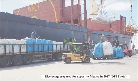  ?? ?? Rice being prepared for export to Mexico in 2017 (DPI Photo)