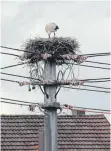  ?? FOTO: JULIA BRUNNER ?? Ende April bis Anfang Mai schlüpft der Storchenna­chwuchs. Bis dahin brüten die Elterntier­e, wie hier in Spaichinge­n am AOK Parkplatz.