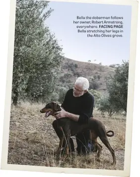  ?? PHOTOGRAPH­Y FELIX FOREST ?? Bella the doberman follows her owner, Robert Armstrong, everywhere. FACING PAGE Bella stretching her legs in the Alto Olives grove.