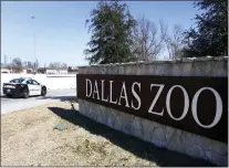  ?? SHAKFAT ANOWAR — THE DALLAS MORNING NEWS VIA AP ?? A Dallas police vehicle at an entrance at the Dallas Zoo on Jan. 13. That’s about the time that a clouded leopard was discovered missing from its enclosure. The leopard was later found. It was the start of series of missing animals and the suspicious death of an endangered vulture. Police have connected some of the incidents to Davion Irvin.