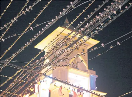  ??  ?? FEATHERED FRIENDS: A flock of swallows sits on a power cable near a clock tower in Betong district of Yala.