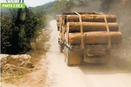  ?? /EL SOL DE ACAPULCO ?? En camiones se llevan los troncos de tala ilegal