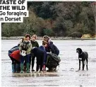  ??  ?? TASTE OF THE WILD Go foraging in Dorset