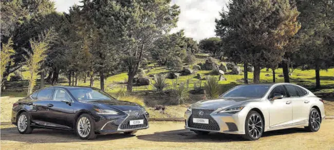  ?? LEXUS ?? SEGMENTO ESENCIAL Los nuevos Lexus ES 300h y LS 500h ofrecen nuevas mejoras en equipamien­tos, motores y tecnología aplicada a la seguridad y el confort.