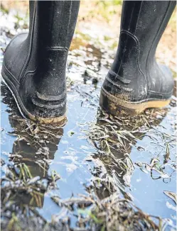  ?? Picture: Getty Images. ?? Farmers and crofters are being urged to make use of the support available if they are suffering from stress, anxiety or depression.