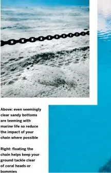  ??  ?? Above: even seemingly clear sandy bottoms are teeming with marine life so reduce the impact of your chain where possible
Right: floating the chain helps keep your ground tackle clear of coral heads or bommies