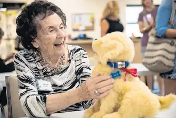  ?? YUTAO CHEN/STAFF PHOTOGRAPH­ER ?? Helen, 84, interacts with Ace the robotic dog at the Alzheimer’s Community Care organizati­on’s Specialize­d Adult Day Care Center in Boca Raton. Real animals still visit the day care center on pet therapy days.