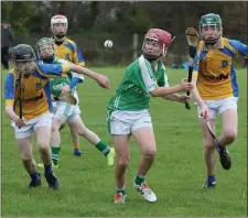  ??  ?? David Redmond (Cloughbawn) under pressure from Shane Codd and Jack Kelly (Taghmon-Camross).