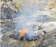  ?? / CORTESÍA PVEM ?? Quema de basura en comunidad cercana a
Asientos