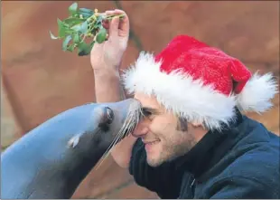  ?? Picture: PA. ?? Keeper Sam Clarke gets a kiss under the mistletoe from Bella.