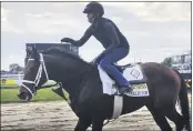  ?? STEPHEN WHYNO — THE ASSOCIATED PRESS ?? Preakness contender Art Collector, ridden by exercise rider Annie Finney, walks on the track at Pimlico Race Course on Thursday in Baltimore.