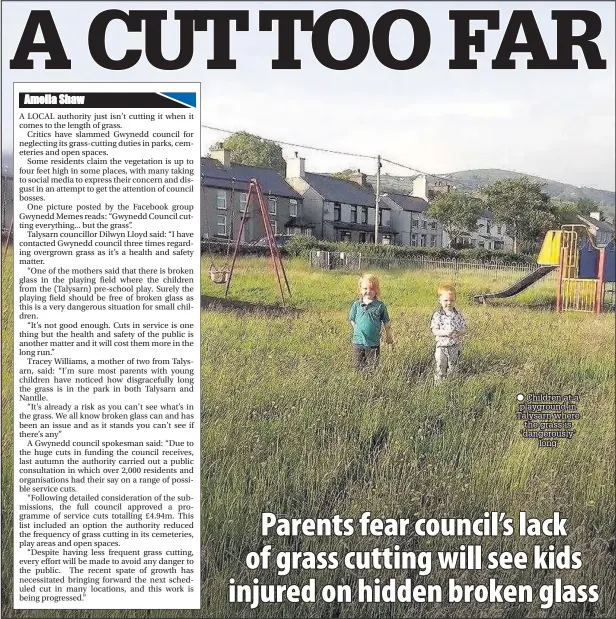  ??  ?? ● Children at a playground in Talysarn where the grass is ‘dangerousl­y’ long