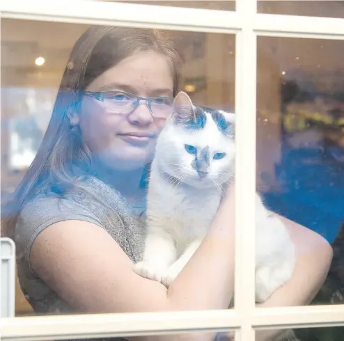  ?? BRUCE DEACHMAN / OTTAWA CITIZEN ?? Abigail Burke, 11, and her cat, Lily. Abigail is afraid to let Lily outside after a neighbour allegedly captured the cat twice and took it to the humane society in a dispute over the cat crawling on his car and hunting small animals in his yard.