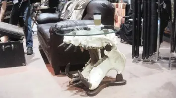  ??  ?? DOZENS of items made from endangered wildlife were for sale in Reno, Nevada, last week. The items included elephant skin furniture, paintings on elephant ears, hippo skulls and teeth, and stingray skin belts.