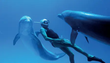 L Uomo Delfino Che Respirava Il Grande Oceano Pressreader