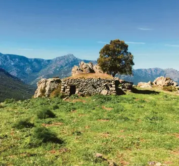  ?? Foto: Jana Tallevi ?? Alte Steinhütte­n erzählen vom kargen Leben auf Korsika.