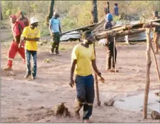  ??  ?? Artisanal miners walk away from the collapsing Wonderer Mine in Shurugwi on Saturday