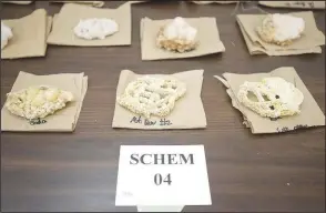  ?? (NWA Democrat-Gazette/J.T. Wampler) ?? Lab-grown borax crystals are displayed in a science fair entry Friday.