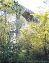  ?? ?? Carrig Viaduct, in the parish of Killavulle­n, potentiall­y one of the focal points which may form part of the Mallow to Dungarvan Greenway.