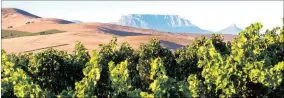  ??  ?? Diemersdal Durbanvill­e wine route is listed on Klink Awards.