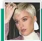 KATY PERRY SEX DOLL SCANDAL