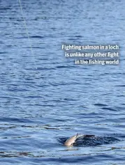  ?? ?? Fighting salmon in a loch is unlike any other fight
in the fishing world