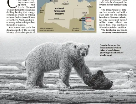  ?? Steve Ringman / TNS ?? A polar bear on the frozen Beaufort Sea takes a break from gnawing on a chunk of whale meat.