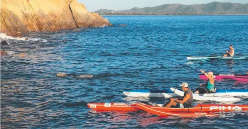  ?? Picture: JULIE LYNE ?? CONCERN: Kayakers attempt to rescue a cow off The Strand.
