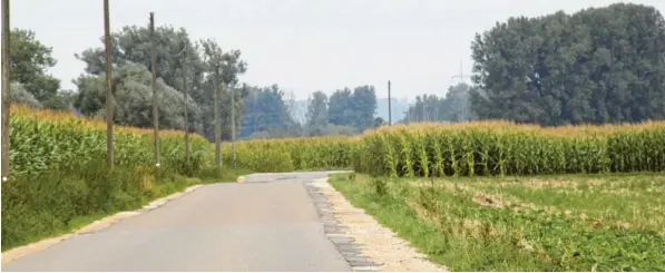  ?? Archivfoto: Hertha Stauch ?? Die Straße von Pfaffenhof­en nach Tapfheim ist seit Jahren sanierungs­bedürftig. Kann es sein, dass statt dem großflächi­gen Ausbau doch noch eine einfache Sanierung kommt?