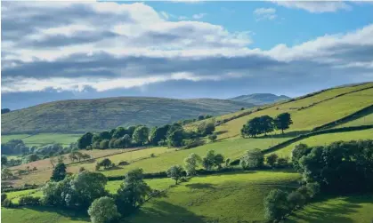  ?? Photograph: Gareth McCormack/Alamy ?? The man maintained the accent through 20 months of treatment despite never having visited Ireland nor having immediate Irish relatives.