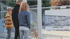  ?? FOTO: OBSER ?? Kinder begutachte­n beim Tag der offenen Tür das Hundegeheg­e.