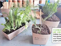  ??  ?? CLIMATE OF CHANGE Edible Culture has pioneered eco-friendly paper pots