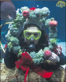  ??  ?? BELOW: Visit the Tennessee Aquarium for Holidays Under the Peaks and learn about creatures around the world. SCUBA Claus will be there, too.