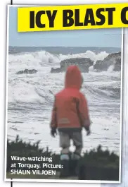  ?? Picture: SHAUN VILJOEN ?? Wave-watching at Torquay.