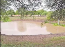  ??  ?? Tajamares de la zona se encuentran con poquísima agua.