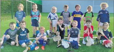  ?? ?? The Cois Bhríde U7 hurling team that played great hurling in Lismore.