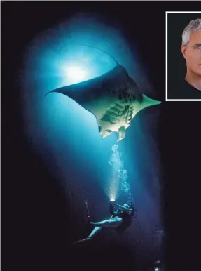  ?? DAVID DOUBILET, 1996-98 ACCUSOFT INC. ?? Manta rays are just one of the species on the run from the wildlife trade.