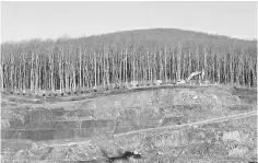  ??  ?? An excavator moves next to a tree line at the constructi­on site of a mine of Hellas Gold, a subsidiary of Canadian mining company Eldorado Gold Corp, in Skouries, in the Halkidiki region, northern Greece. — Reuters photo