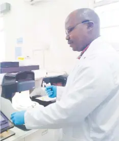  ??  ?? Mr Patrick Simbi running tests on the Samba 11 point of care machines at Hauna district hospital