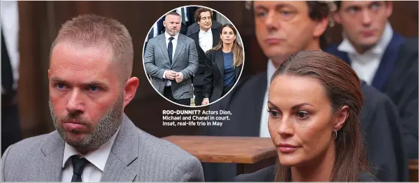  ?? ?? ROO-DUNNIT? Actors Dion, Michael and Chanel in court. Inset, real-life trio in May