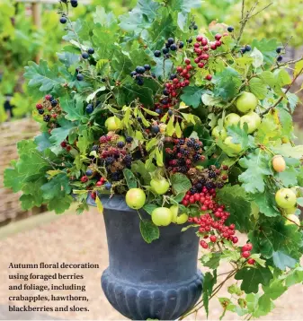  ??  ?? Autumn floral decoration using foraged berries and foliage, including crabapples, hawthorn, blackberri­es and sloes.