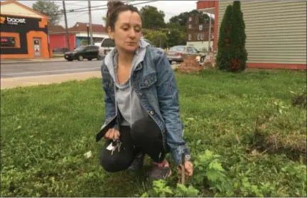  ?? ZACHARY SRNIS — THE MORNING JOURNAL ?? Hollie McGuire inspects the current state of a former garden honoring the late Moises Velez on pearl Ave. in Lorain.