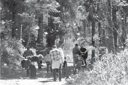  ?? Terri Colby/ Chicago Tribune/TNS ?? ABOVE: Visitors to the El Rosario sanctuary notice signs asking for quiet as they head into the woods where the butterflie­s fly around them and cluster on tree trunks and branches. You need to watch where you’re walking because they’re on the forest...