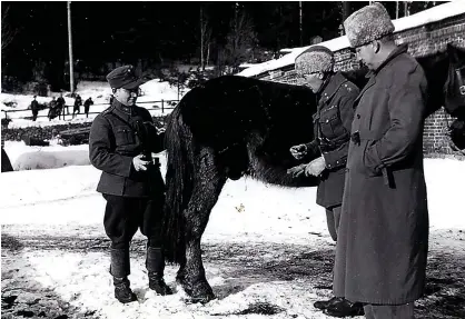  ?? FOTO: PRIVAT ?? Folke Nilsson, längst till höger, tillsamman­s med finländska kolleger.