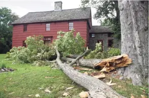  ?? Tyler Sizemore / Hearst Connecticu­t Media ?? A downed tree just avoids causing damage to the historic Putnam Cottage, dated to c.1690, in Greenwich on Thursday, Aug. 6, 2020.