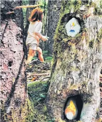  ??  ?? Youngsters painted rocks then hid them in the forest during Alder Wilderness Experience­s Forest Playing workshop last year.