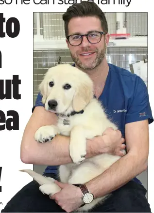  ??  ?? CARING: Pets Factor star James Greenwood with a golden retriever puppy Dexter