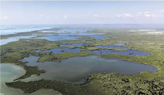  ?? D.A. VARELA dvarela@miamiheral­d.com ?? View from above of the Florida Everglades.
