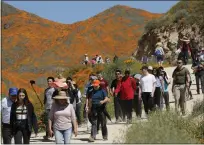  ?? GREGORY BULL — THE ASSOCIATED PRESS FILE ?? People walk among wildflower­s in bloom on March 18, 2019, in Lake Elsinore.