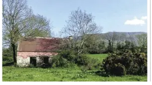  ??  ?? Mike found the exact property where his family lived through the Great Famine